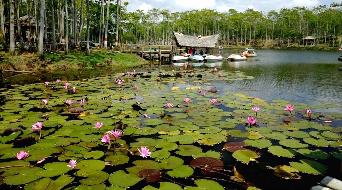 Waduk Kubangkangkung: Pagi-Pagi, Tenang, dan Menyegarkan di Cilacap
