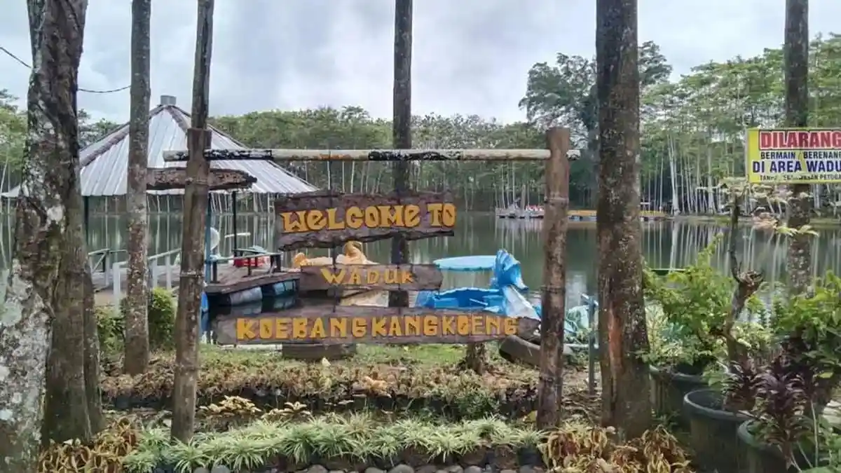 Misteri Air Terjun Tersembunyi di Cilacap: Rahasia Solo Traveler yang Tak Terungkap
